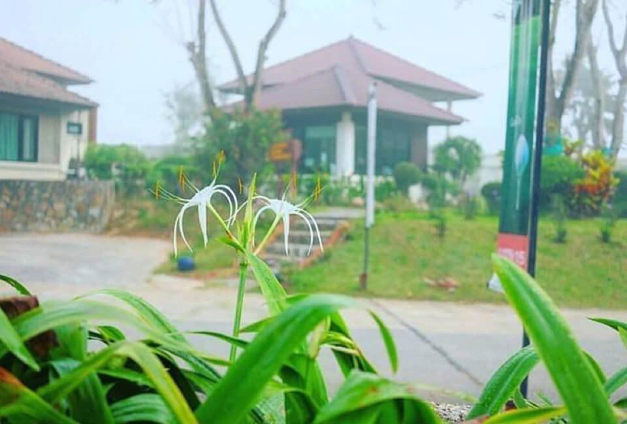 Pattaya Country Club & Resort Ban Pong  Bagian luar foto